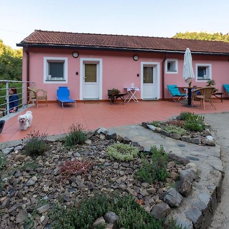 B&B La Casina Rosa La Spezia Valeriano Lunense 外观 照片