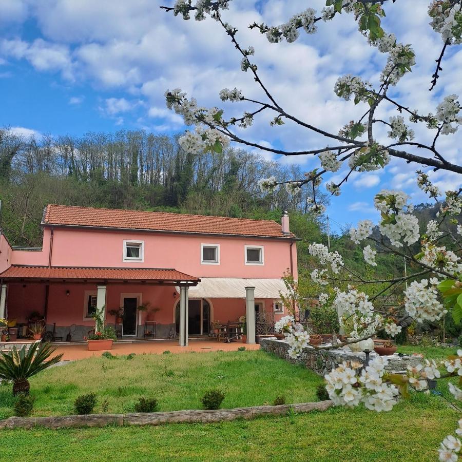 B&B La Casina Rosa La Spezia Valeriano Lunense 外观 照片